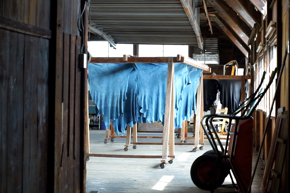 baby-buffalo-105_eee09a42-1edc baby-buffalo-105_eee09a42-1edc